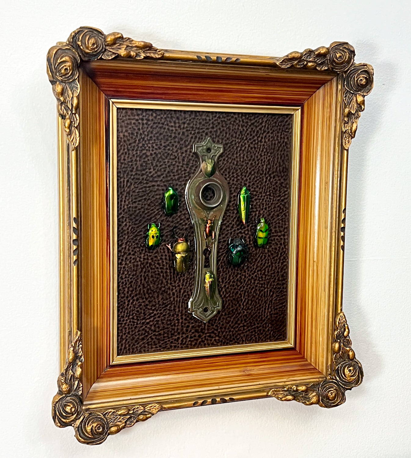 Vintage Shadow Box Frame with Reclaimed Jewel Beetles
