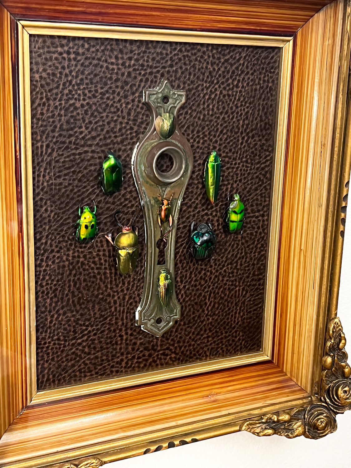 Vintage Shadow Box Frame with Reclaimed Jewel Beetles