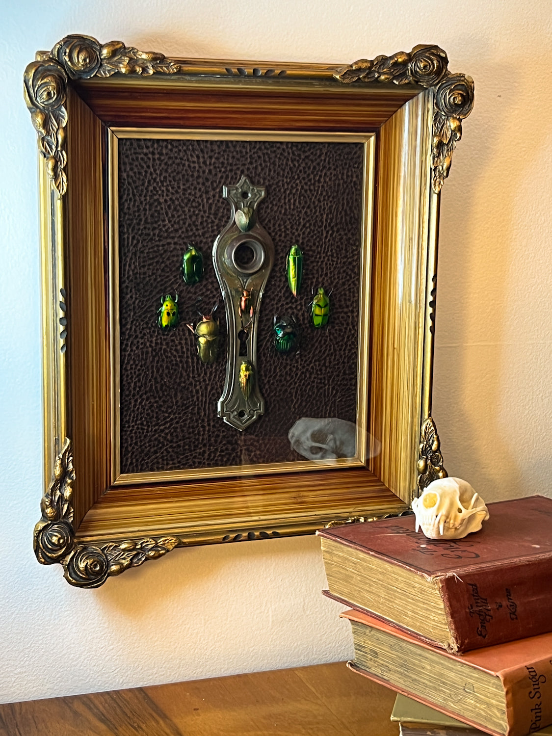 Vintage Shadow Box Frame with Reclaimed Jewel Beetles