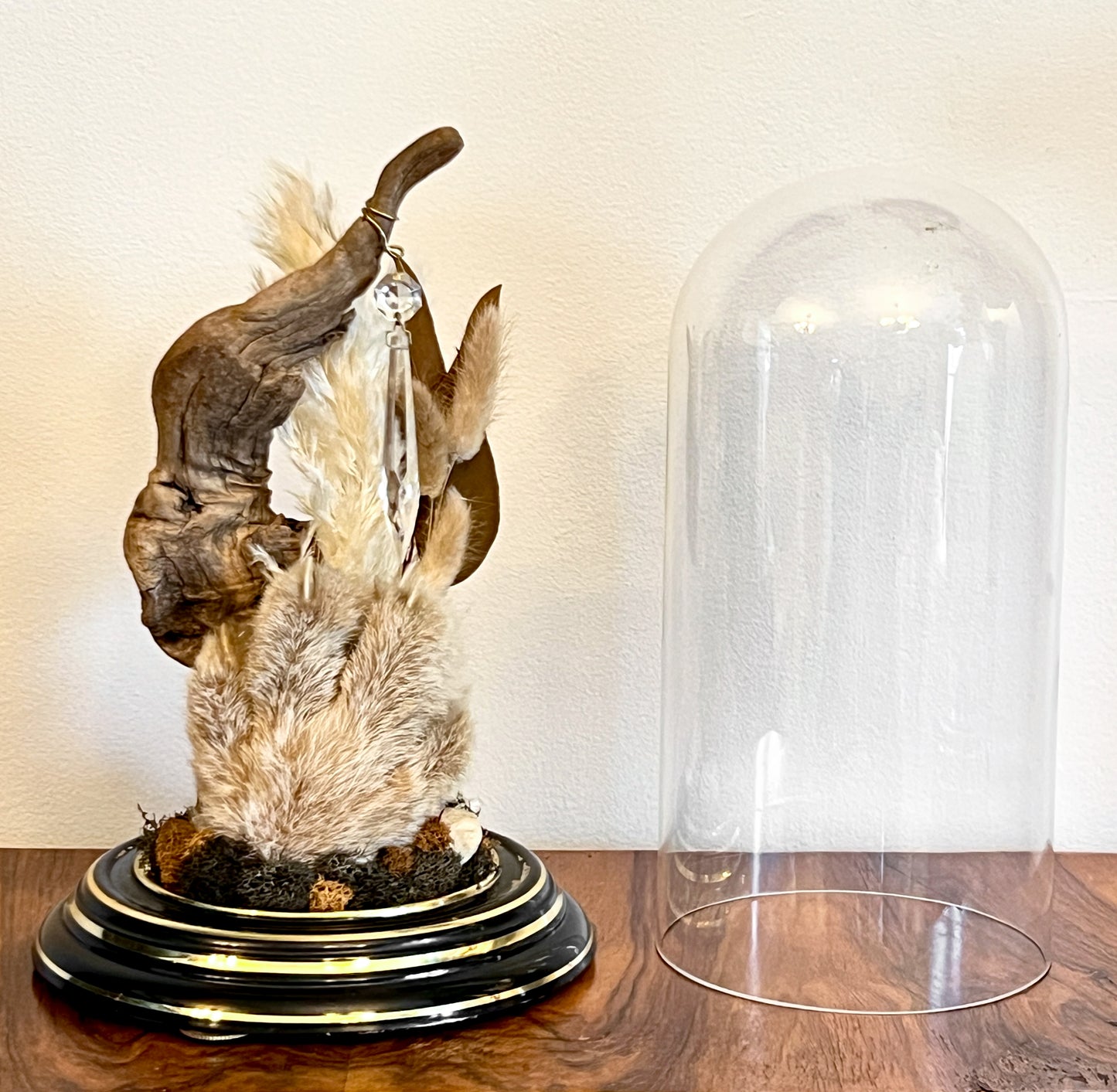Vintage Clock Dome with Real Lynx Paw, Driftwood, Quartz, and Vintage Chandelier Crystal