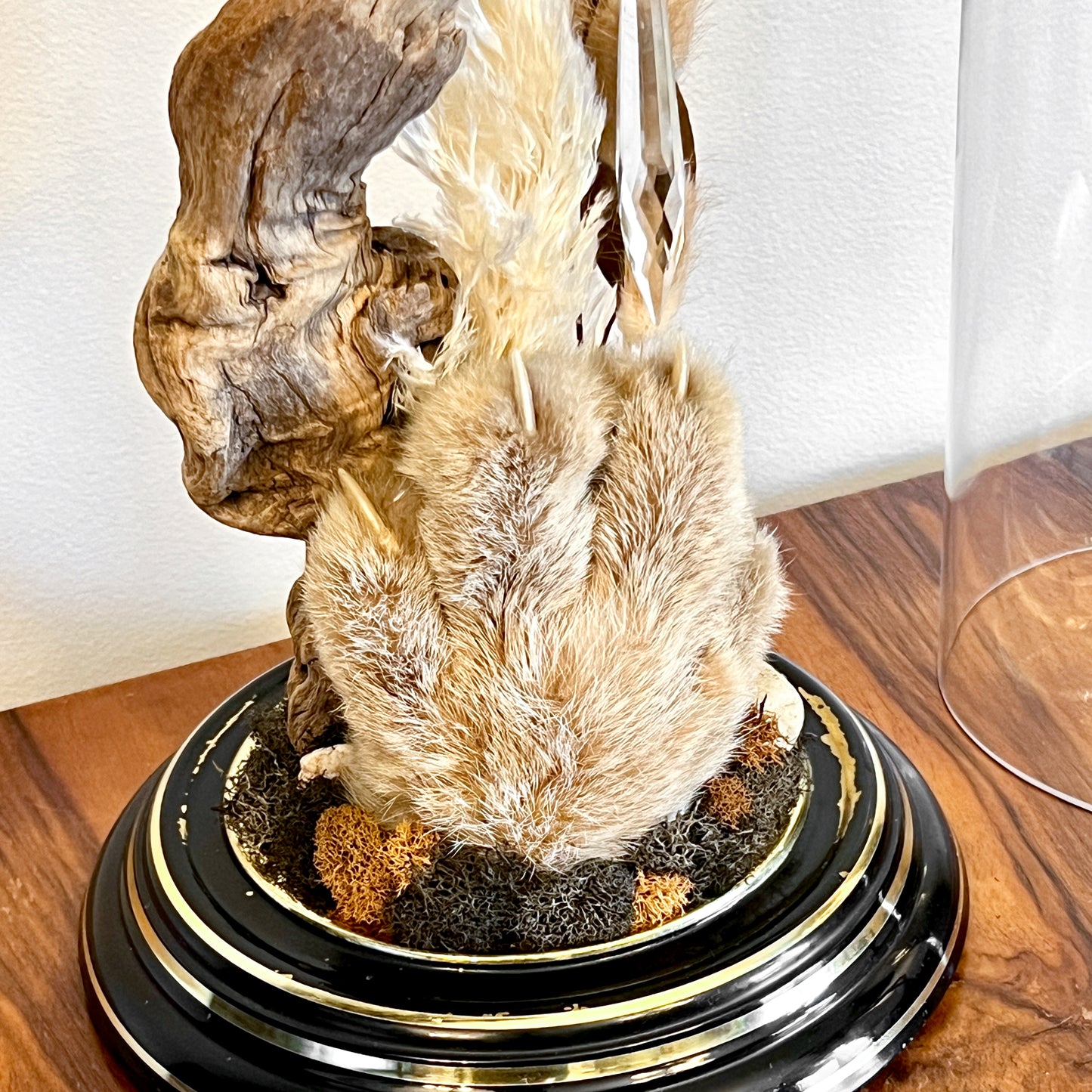 Vintage Clock Dome with Real Lynx Paw, Driftwood, Quartz, and Vintage Chandelier Crystal