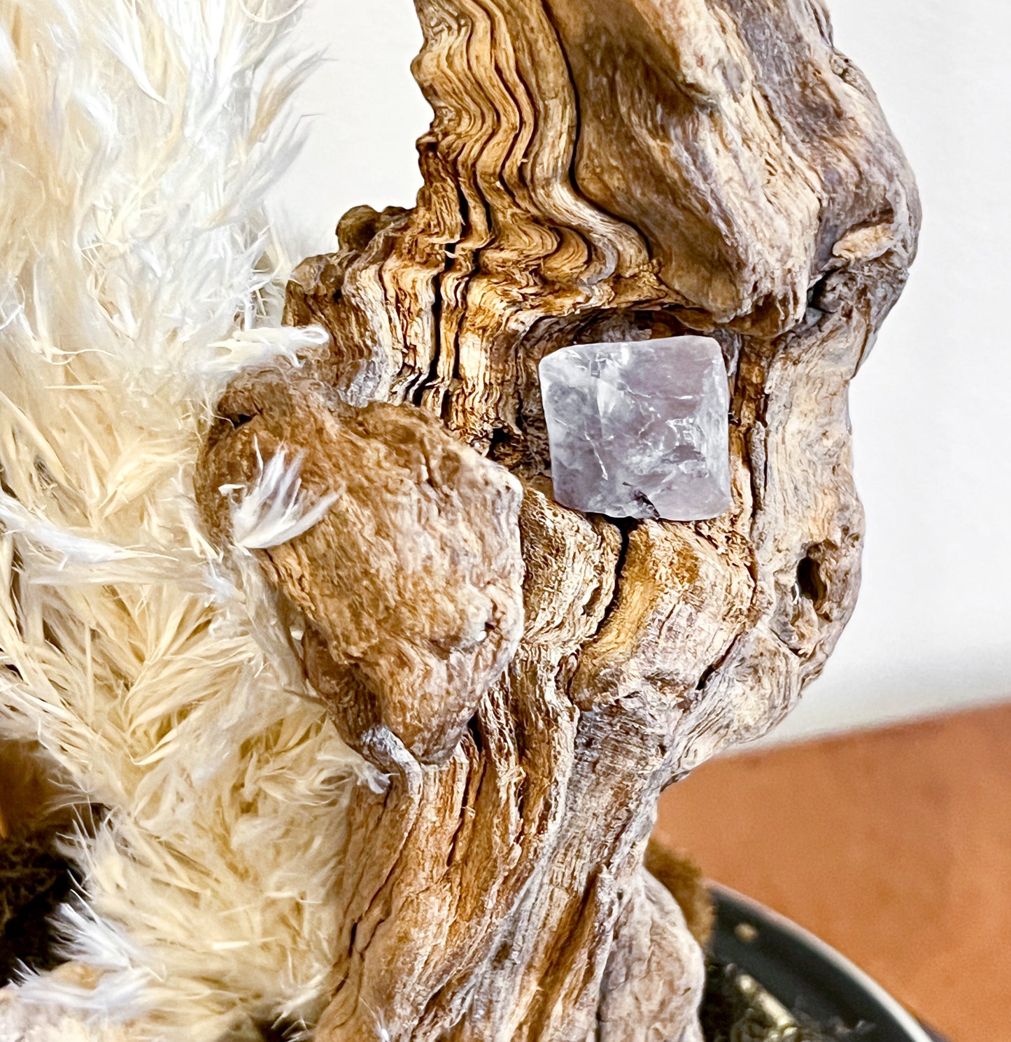 Vintage Clock Dome with Real Lynx Paw, Driftwood, Quartz, and Vintage Chandelier Crystal