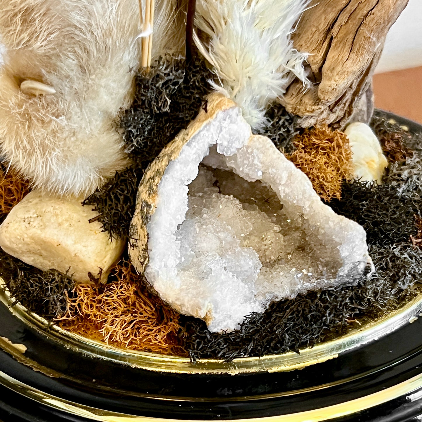 Vintage Clock Dome with Real Lynx Paw, Driftwood, Quartz, and Vintage Chandelier Crystal