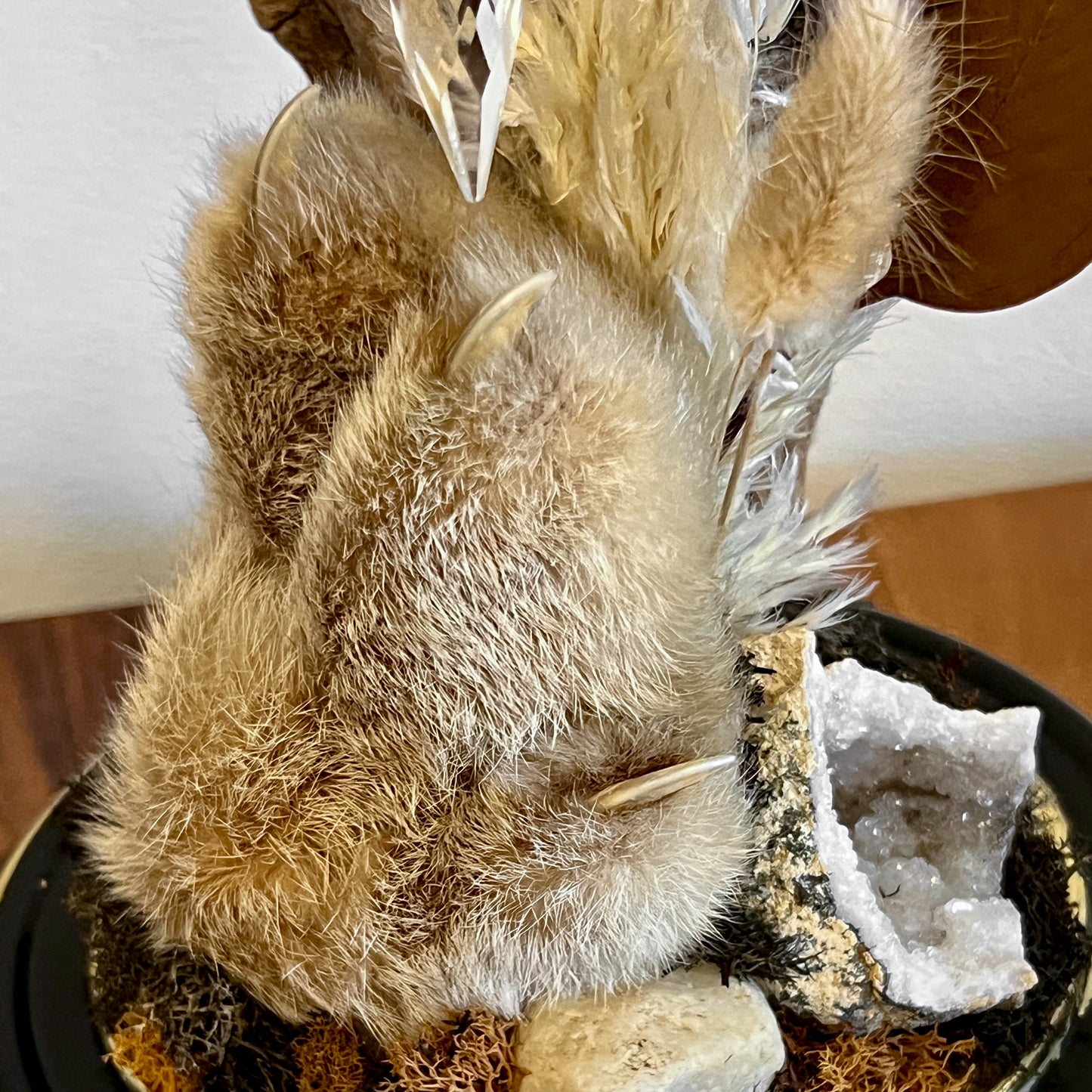 Vintage Clock Dome with Real Lynx Paw, Driftwood, Quartz, and Vintage Chandelier Crystal