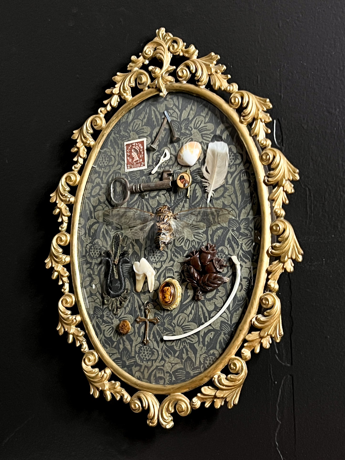Antique Frame with Collection of Oddities & Curiousities