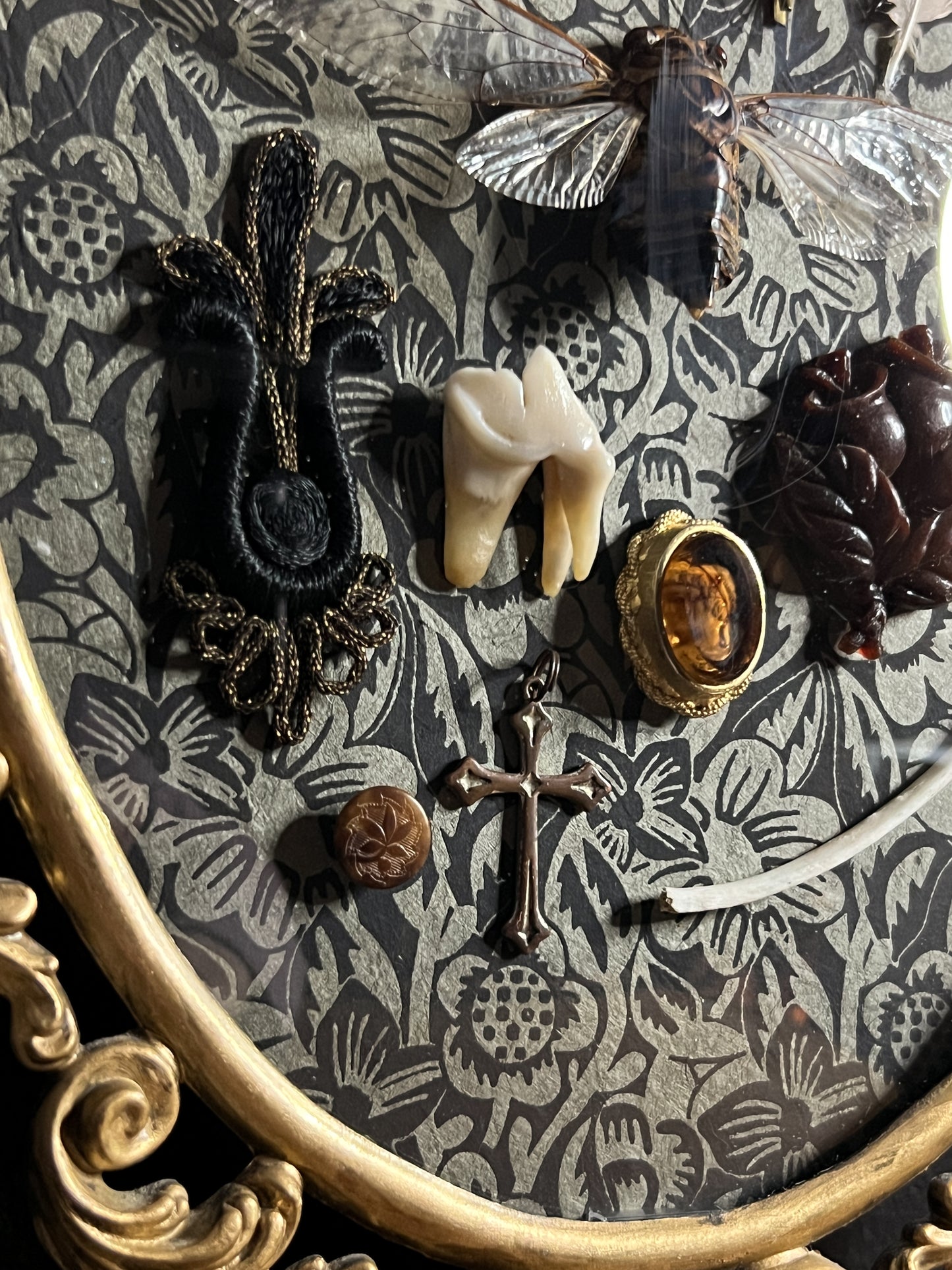 Antique Frame with Collection of Oddities & Curiousities