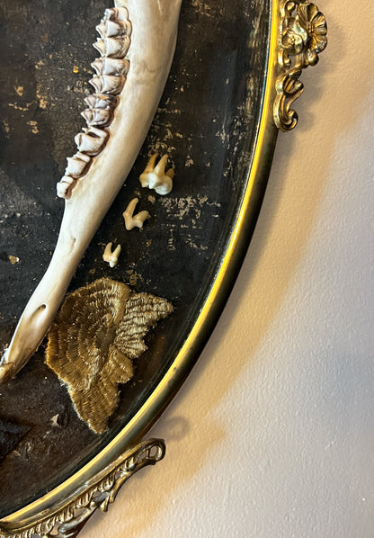 Antique Gold Metal Frame w/ Convex Glass, Bones, Door Hardware, & More