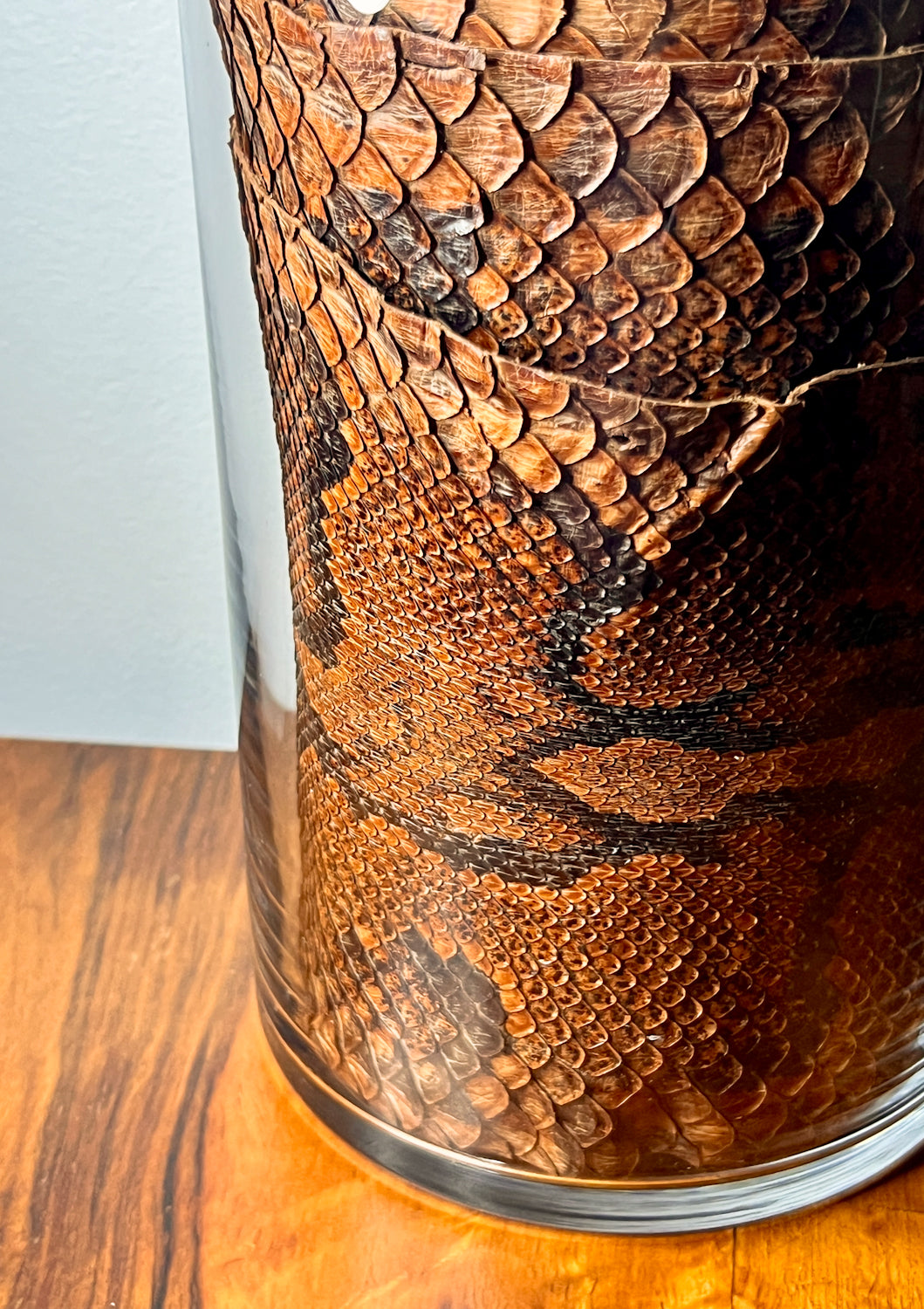African Rock Python Tanned Skin, 10' Long, in Beautiful Display Jar