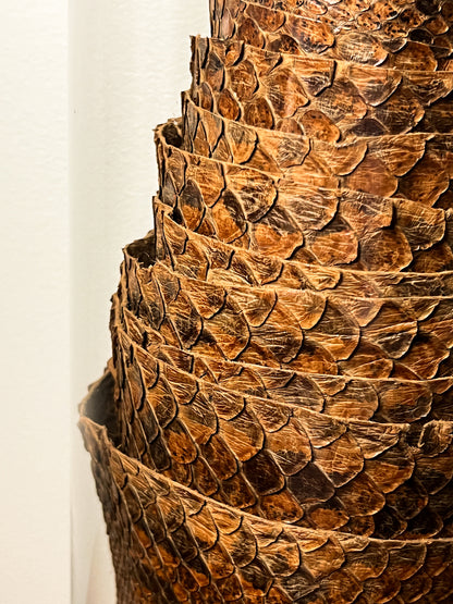 African Rock Python Tanned Skin, 10' Long, in Beautiful Display Jar