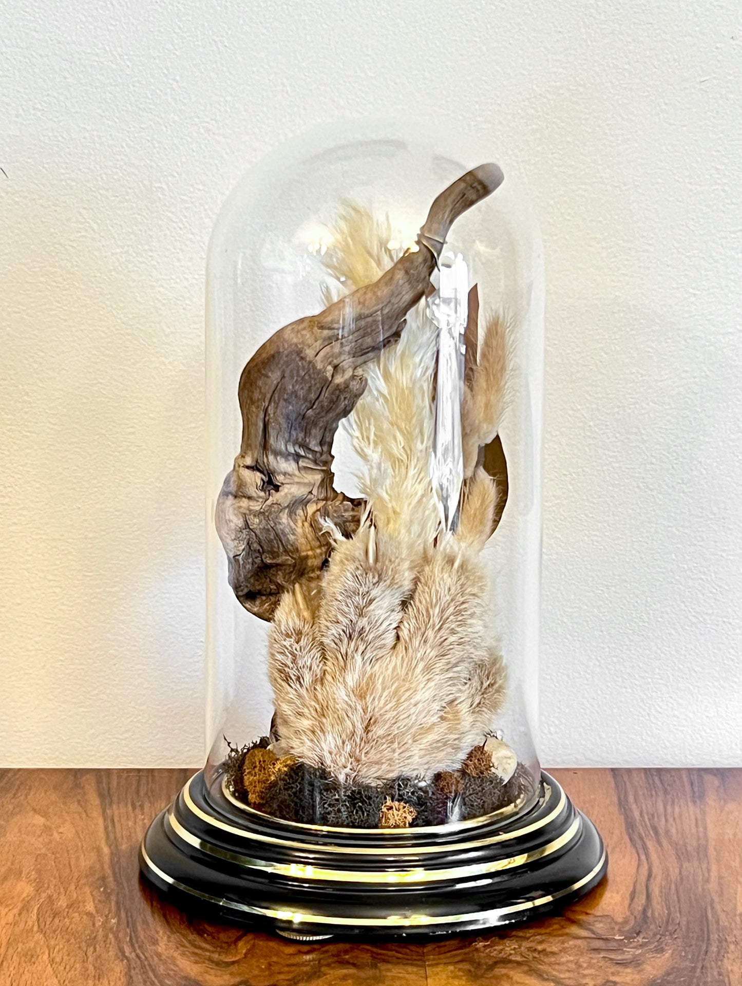 Vintage Clock Dome with Real Lynx Paw, Driftwood, Quartz, and Vintage Chandelier Crystal