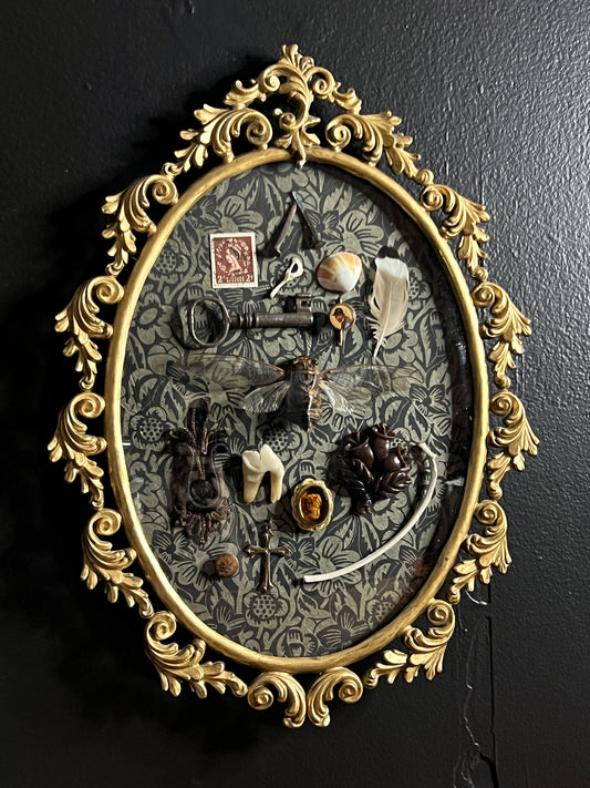 Antique Frame with Collection of Oddities & Curiousities