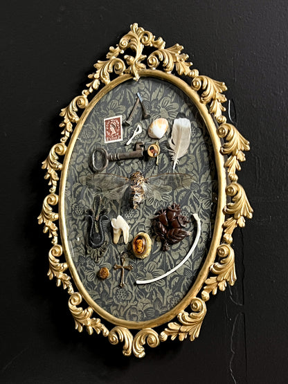 Antique Frame with Collection of Oddities & Curiousities