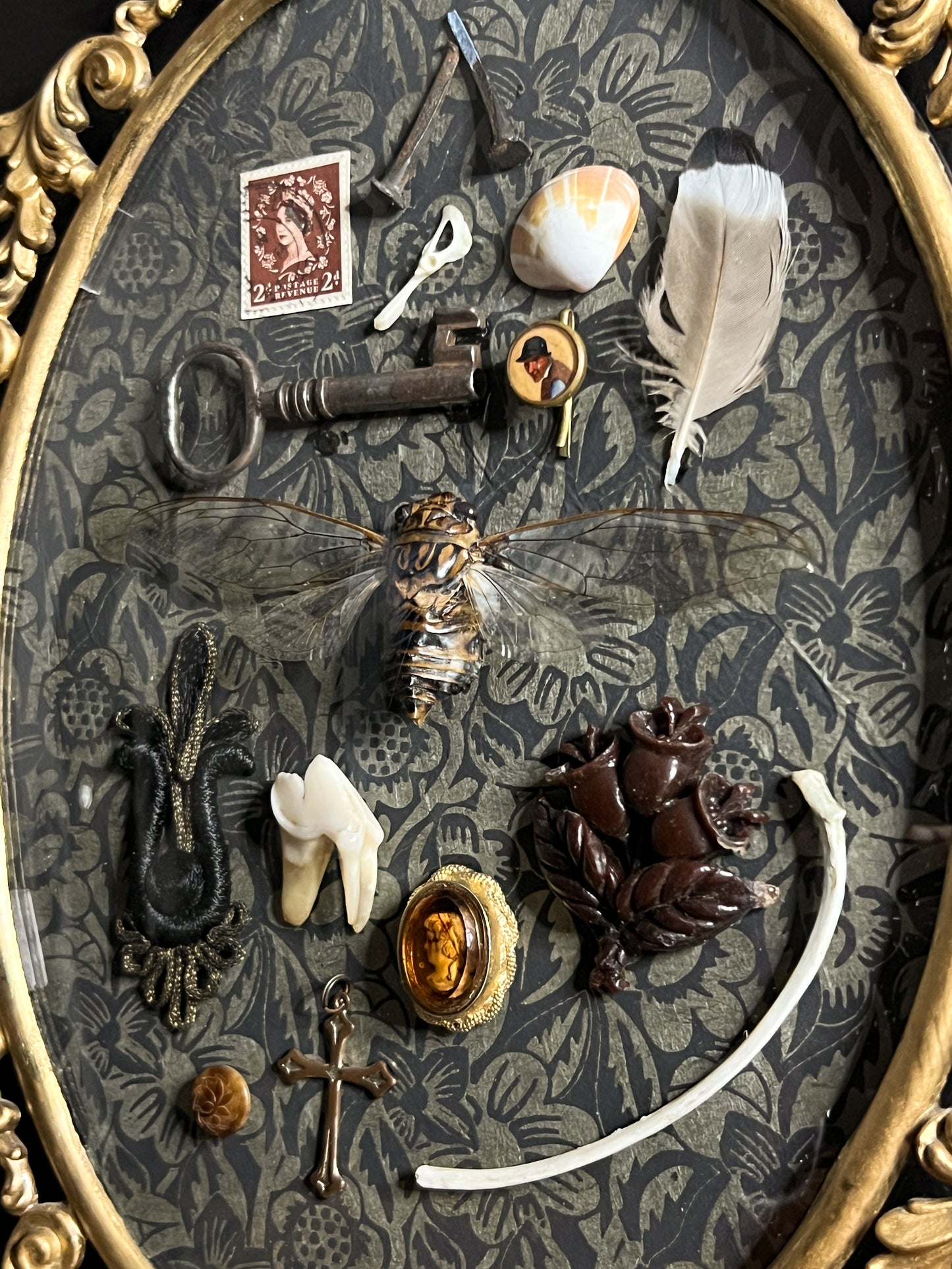 Antique Frame with Collection of Oddities & Curiousities